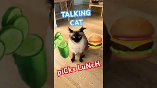 TALKiNG CAT PICKS A LUNCH Lmoa 