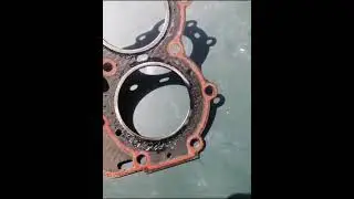 Ремонт мотора 9.9! ТО