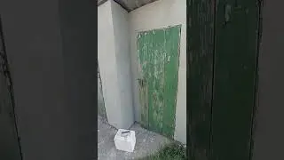 8 вересня 2024 р.