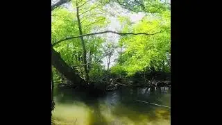 EuroNymphing on Mlava river, Serbia. The importance of proper drift.