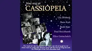 Det' lunt i nat