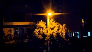 Samsung Galaxy Nexus NightShot No.3