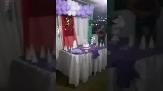 Festa De Allyce Dançando Com A Prima - Baby Shark.
