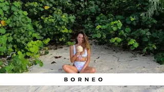 Borneo, Malaysia VLOG - Meeting Wild Orangutans