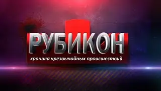 Рубикон 27.06.2023. Витебчанка отрубила голову двум котятам и кошке