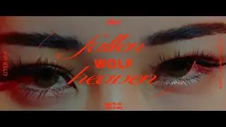 Wolf - HITOMIN - 【Official music video】
