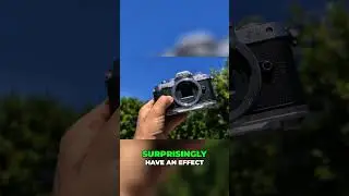 Is NIKON Better than SONY!? #nikonvssony