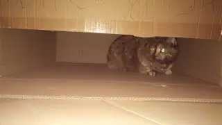 Мой лего мультик про соника#2