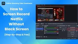 How to Screen Record Netflix Without Black Screen