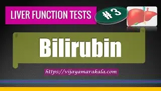 Bilirubin: Urobilinogen: Stercobilin: Bile salts: Liver Function Tests: LFT: Part 3