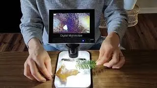 Review of LCD Digital Microscope, Pevor 4.3 inch 500X-1000X Magnification USB Microscope Magnifier