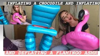 INFLATING AND DEFLATING BY MOUTH A CROCODILE AND FLAMINGO - ASMR MOUTH BLOWING INFLATABLE