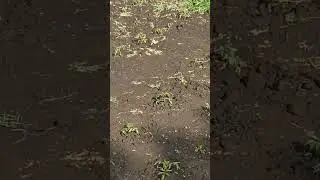 #Днепр#радуга