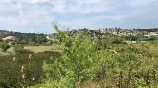 Dikkat Yok Oluyor…Yok olmaktan kurtaralım!!! İstanbul Riva vahşi yaşam / istanbul / bosphorus /doğa