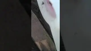 забывалки