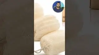 Tori/Jhingli Loofah being sold at 4 Dollars in US 😲 