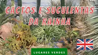 Coleção de CACTOS E SUCULENTAS - JARDIM BOTÂNICO REAL BRITÂNICO, KEW
