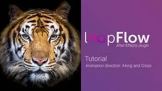 loopFlow tutorial part 3