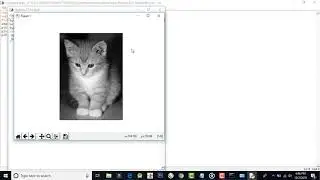 Reading and Writing the Image With Matplotlib
