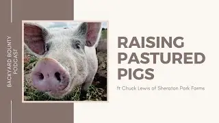 Raising Pasture Pigs For The Homestead and Profit - Pastured Pork For Meat Pig Farming For Beginners