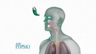 Air Physio - Naturally Improve Your Breathing