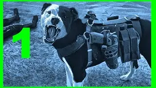 A man and his dog during the Apocalypses/Doomsday