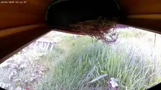 Kayak tenancy