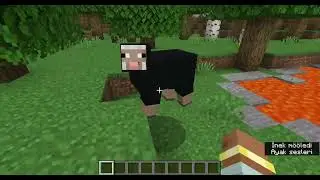 Minecraft ta 0 seed inde ne var? - Minecraft gizemleri gizemli seedler - Minecraft gizemli seed (1)