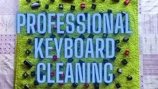 Professional keyboard cleaning - how to clean keyboard Logitech G103