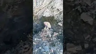 Creek Ручей