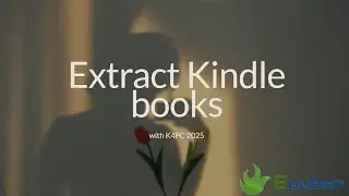 The Ultimate Offline Kindle Archive: Advanced Strategies for K4PC 2.8/2.9