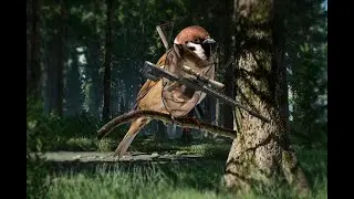 В поиске птичьего очка : Escape From Tarkov