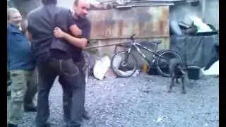 Веселые танцы