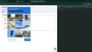 Lightning Autofill sneak peek: CAPTCHA autofill!