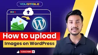 How to Upload Bulk Images Files into WordPress | Media Sync