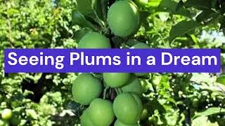 Seeing Plums in a Dream