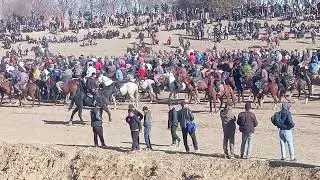 Бузкаши Д Мачитон 21.01.2024