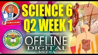 Quarter 2 Week 1 Science 6: Skeletal, Integumentary and Digestive System