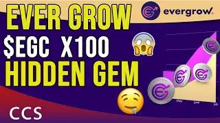 Ever Grow Coin Project Review - $EGC huge Potential 2022 - Ever Grow Ecosystem Explained
