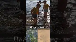 Солнце и вода, дети плескаются. 