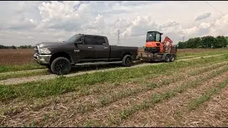 Spraying, side dressing, and cleaning up someone else's mess
