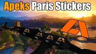 CSGO - Apeks Paris Stickers Showcase | AK-Slate