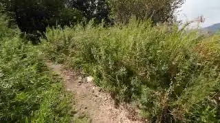 Верх Японской дороги, БАО.