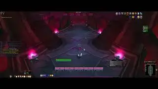 Auchenai Crypt - WoW Multiboxing WotLK Classic - Leveling 5x Paladin
