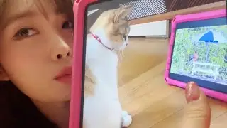 EVERGLOW Sihyeon Showed Darong a Bird Video