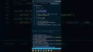 Python Handle Errors