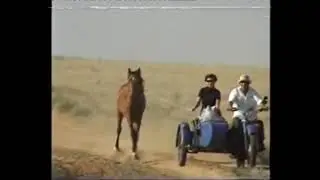 День рождение на точке 2004год.Скачки