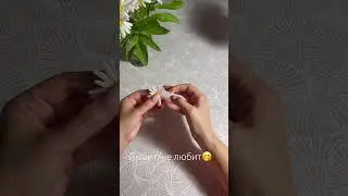 Любит/не любит 