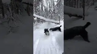 Atv ride after snowstorm.