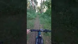 другой жизни не будет)